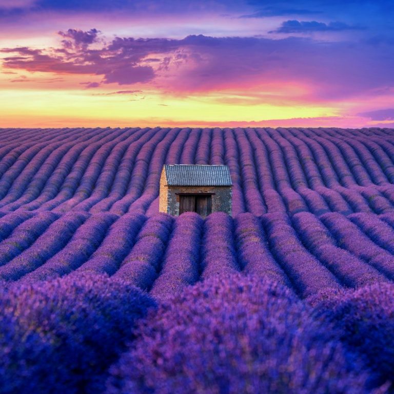 Glamping Frankrijk Provence betaalbaar 2026