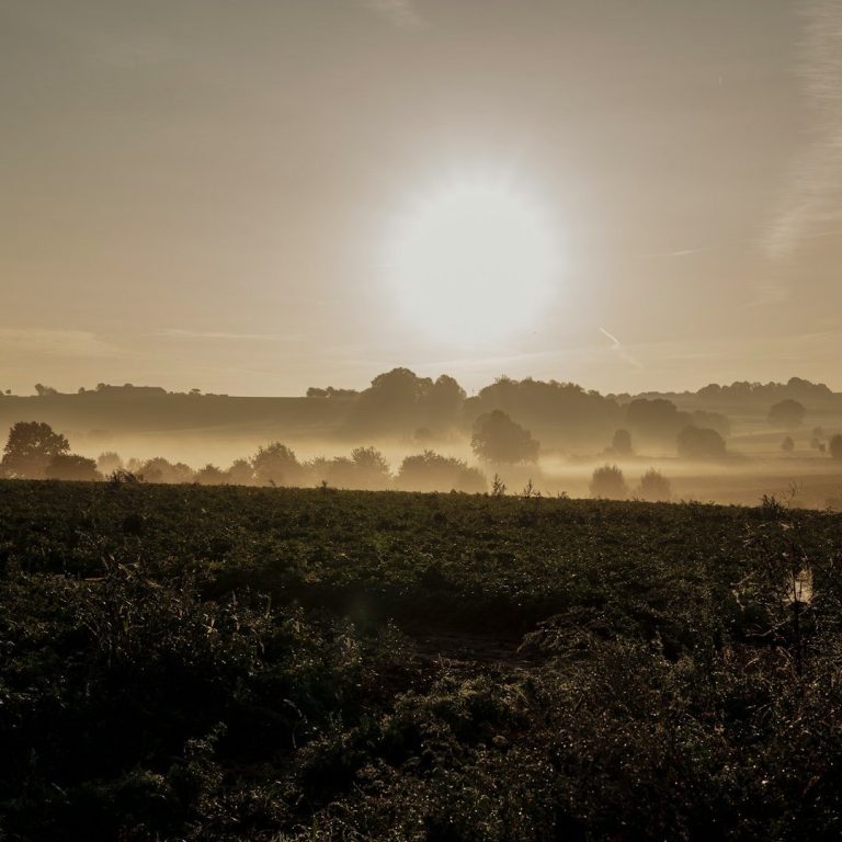 Zuid-Limburg wandelen heuvels natuur weekendje weg 2026